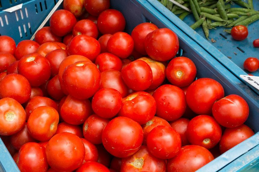 How to Measure Tomato Color