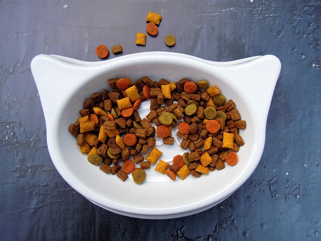 Pet Food Color Measurement