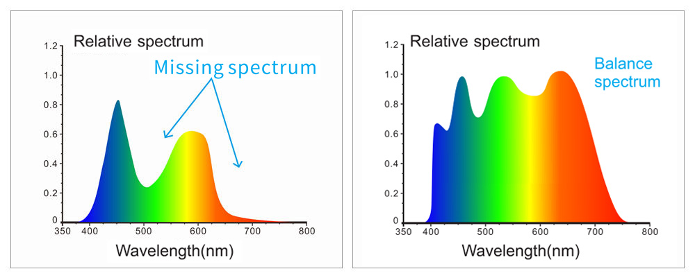 Adopt Full spectrum LED light source with blue enhancement