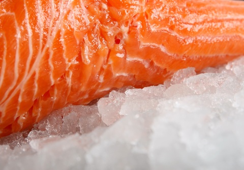 fish meat color measurement