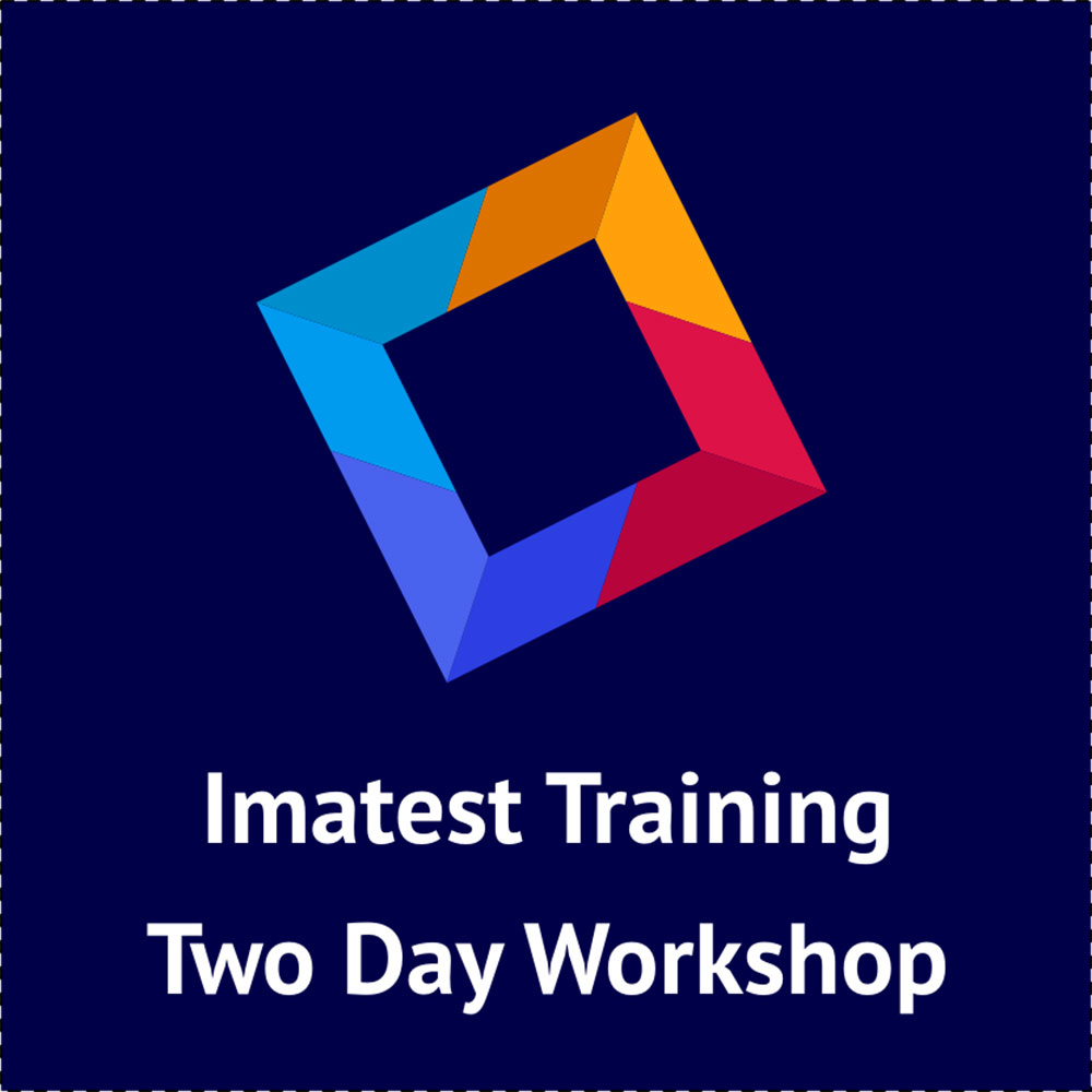 SineImage  Training